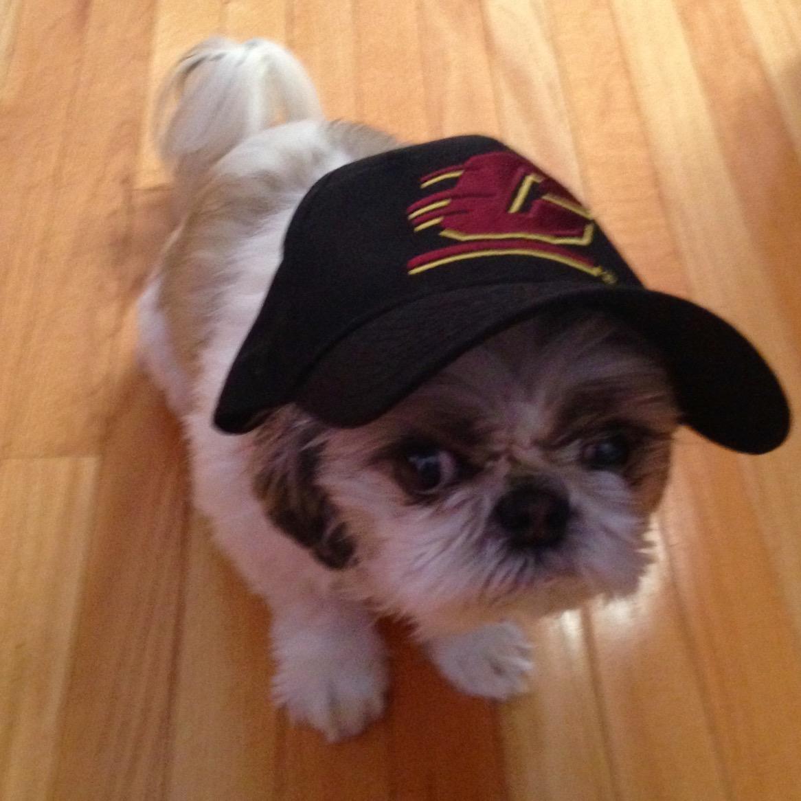 lynlwilliamson's tweet photo. #CMUniversity http://t.co/EdMWzvRvDu