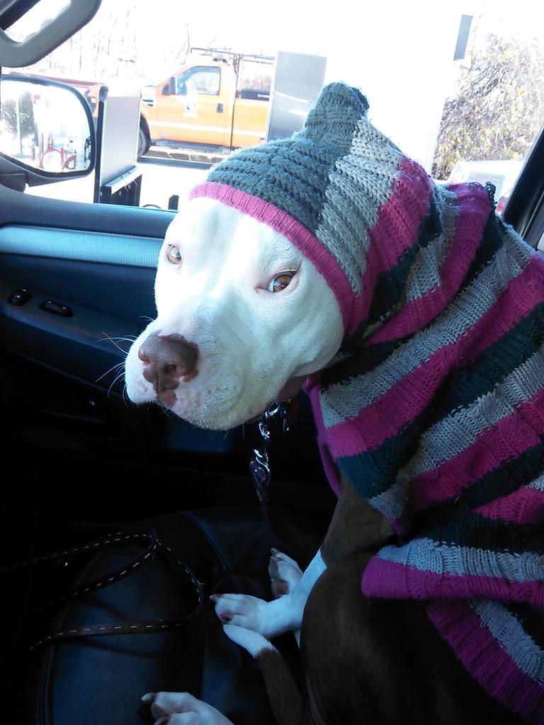 If were cold their cold