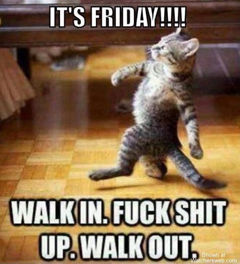 Scomo843's tweet image. 