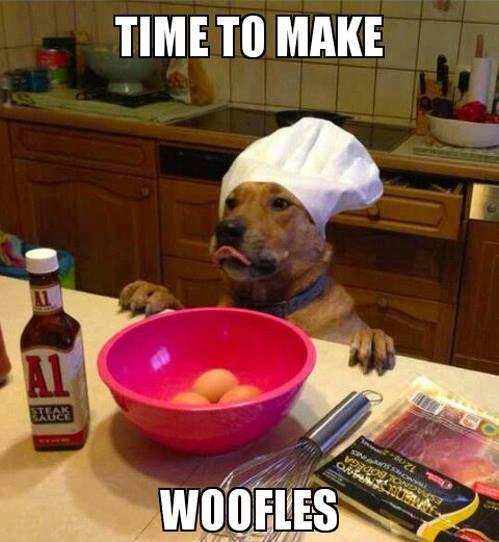 NoNamePup's tweet photo. @DaMoosePup making breakfast.. http://t.co/dlXRtRCFOR