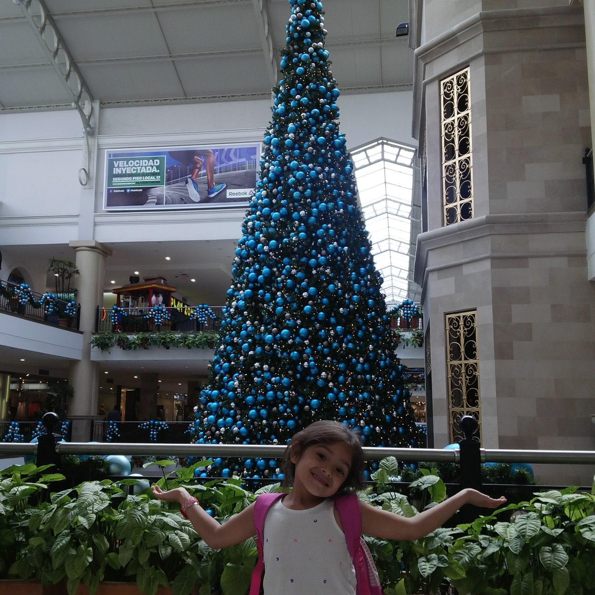 muchopoquito's tweet photo. Ella feliz que llegó la navidad http://t.co/EB5IkxvfJf
