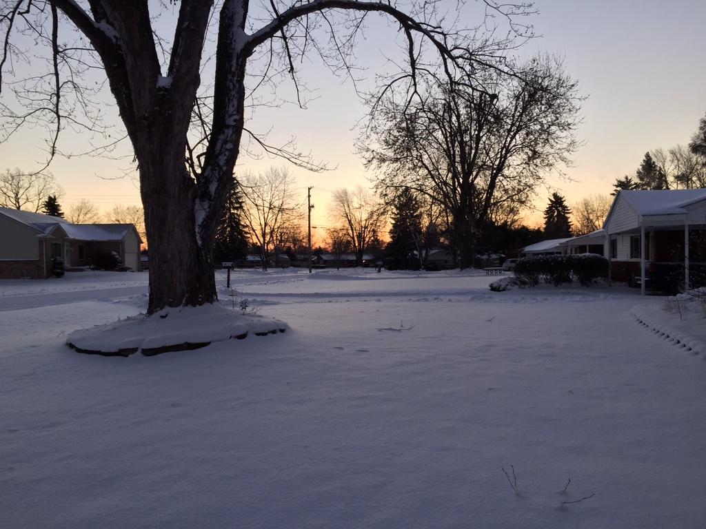 It's beautiful in the morning, although it's very cold outside