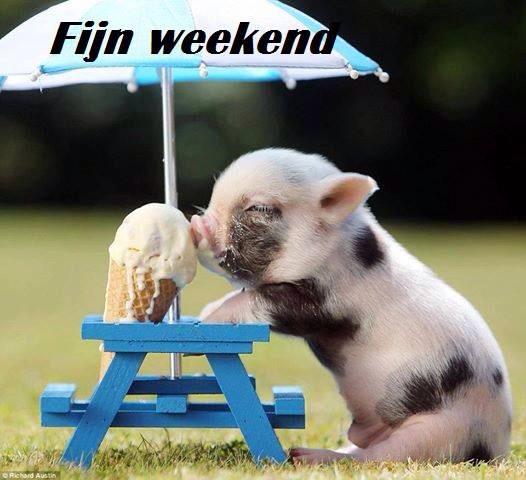 dees029 tweet picture