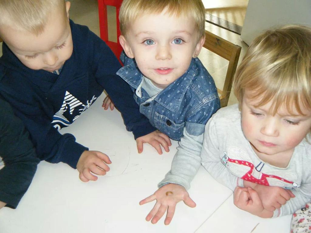 LittleRascalsPS's tweet photo. Dave the chameleon was a huge hit with the children today #chameleon #preschool #children's pets http://t.co/NBAa8FSzF8