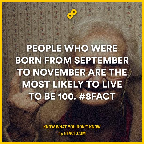 8factapp's tweet photo. 8FACT STORE Thanksgiving Sale, for you, for all fans!
Check out at: http://t.co/1b2WcYx3W1 http://t.co/7dmqZUbaIL