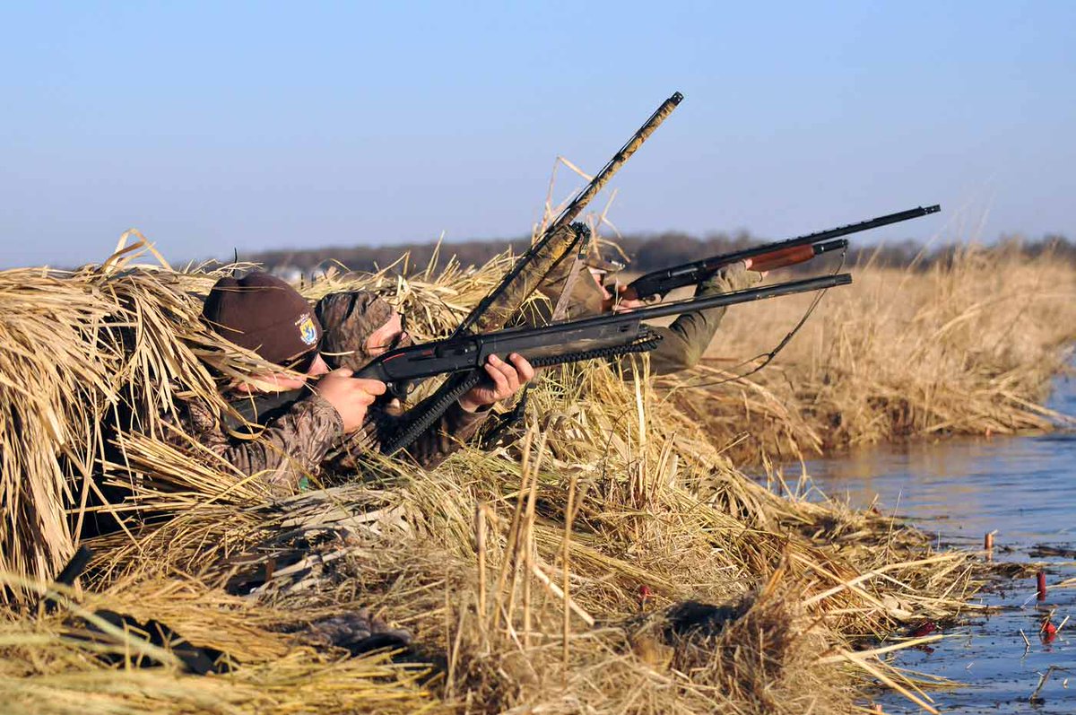 DucksUnlimited's tweet image. Migration Alert: #Arkansas November Waterfowl Survey Reveals 550k Mallards bit.ly/11COfUG #duckhunting