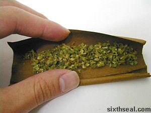 crazy_reckless's tweet image. The "stoner" starter pack