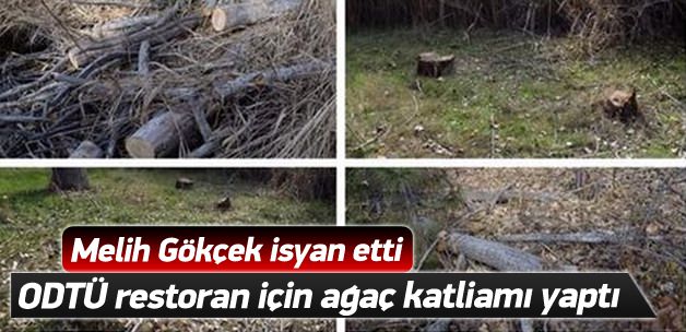 ODTÜ restoran için Eymir'de ağaç katliamı yaptı hb7.co/1xUWk3G