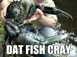 Crustacea123's tweet photo. i can even be 28 lbs #youthinkimalwayssmall http://t.co/ZNSYFE5kiX