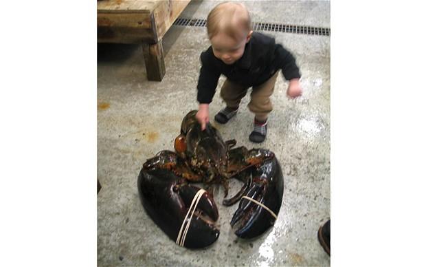Crustacea123's tweet photo. that 3 year old caught me :( #imstillbiggerthanhim http://t.co/MSD55Xo0dE