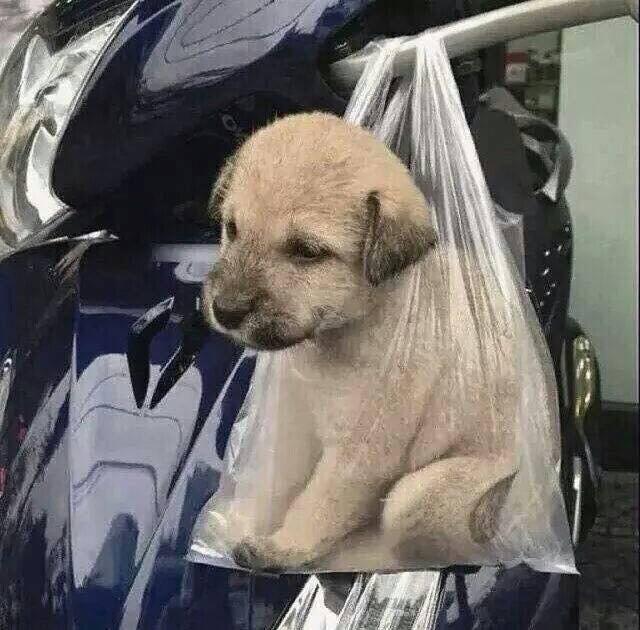 wiseatson's tweet image. แกงรัยดีน่า