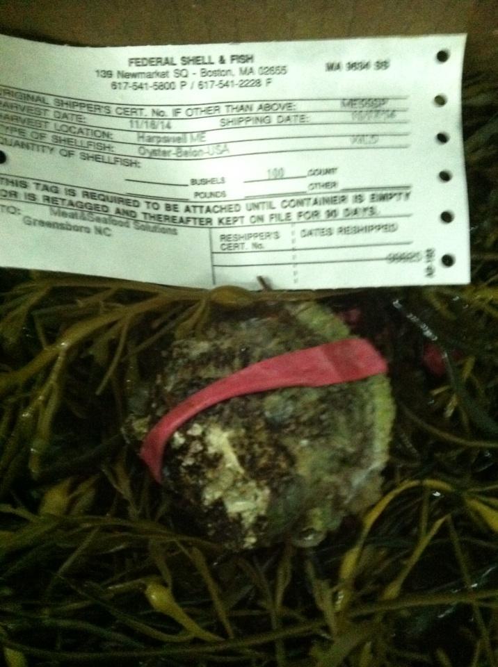 NCfinestfish's tweet photo. Belon oysters from the cold waters of the north east. http://t.co/HvgmYQMLeq