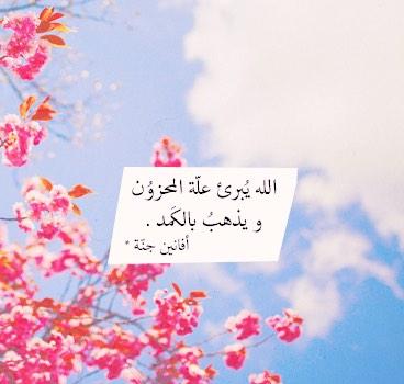 الله💗
يُبرِئ علّةَ الـمحزون!
و يذهب بالـكمد🍃.