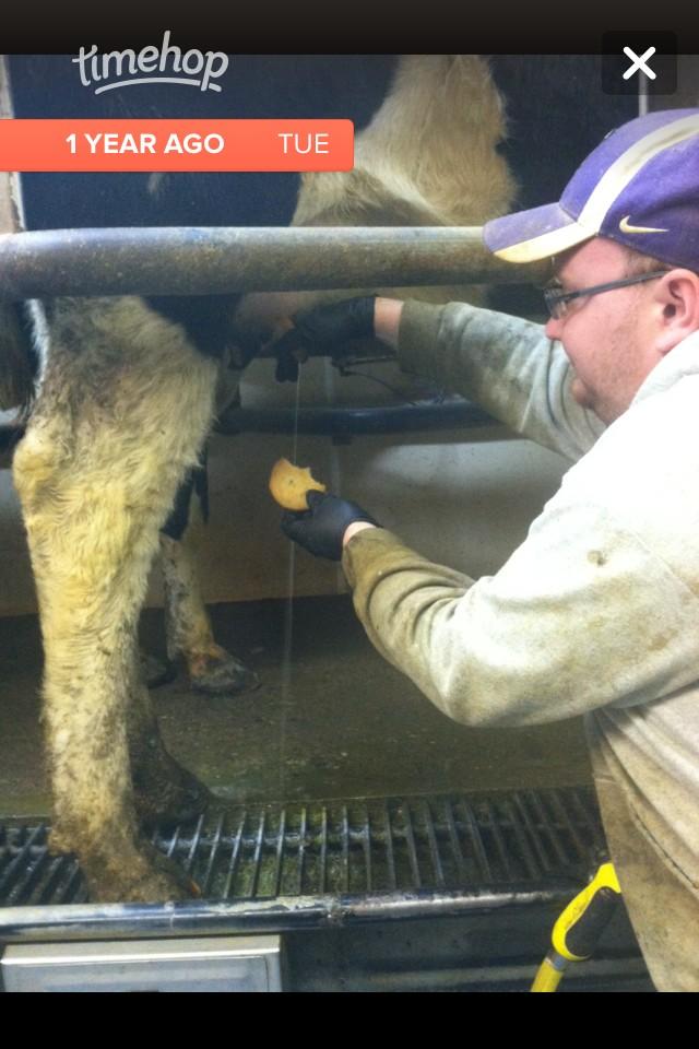 madelinebeuning's tweet photo. #throwbackwednesday #milkandcookies @scayer44 http://t.co/SXCaxEnr5e