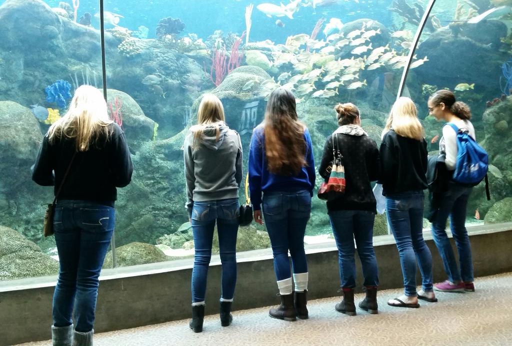 emilyrlamb's tweet photo. #jwmhsaquariumtrip http://t.co/DGRaIOBI0N