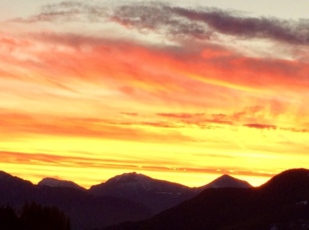 UgoGma's tweet image. Ciao Milordo.....