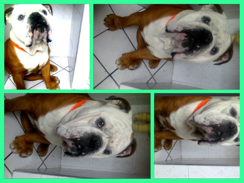 MariaRodelo2's tweet image. 