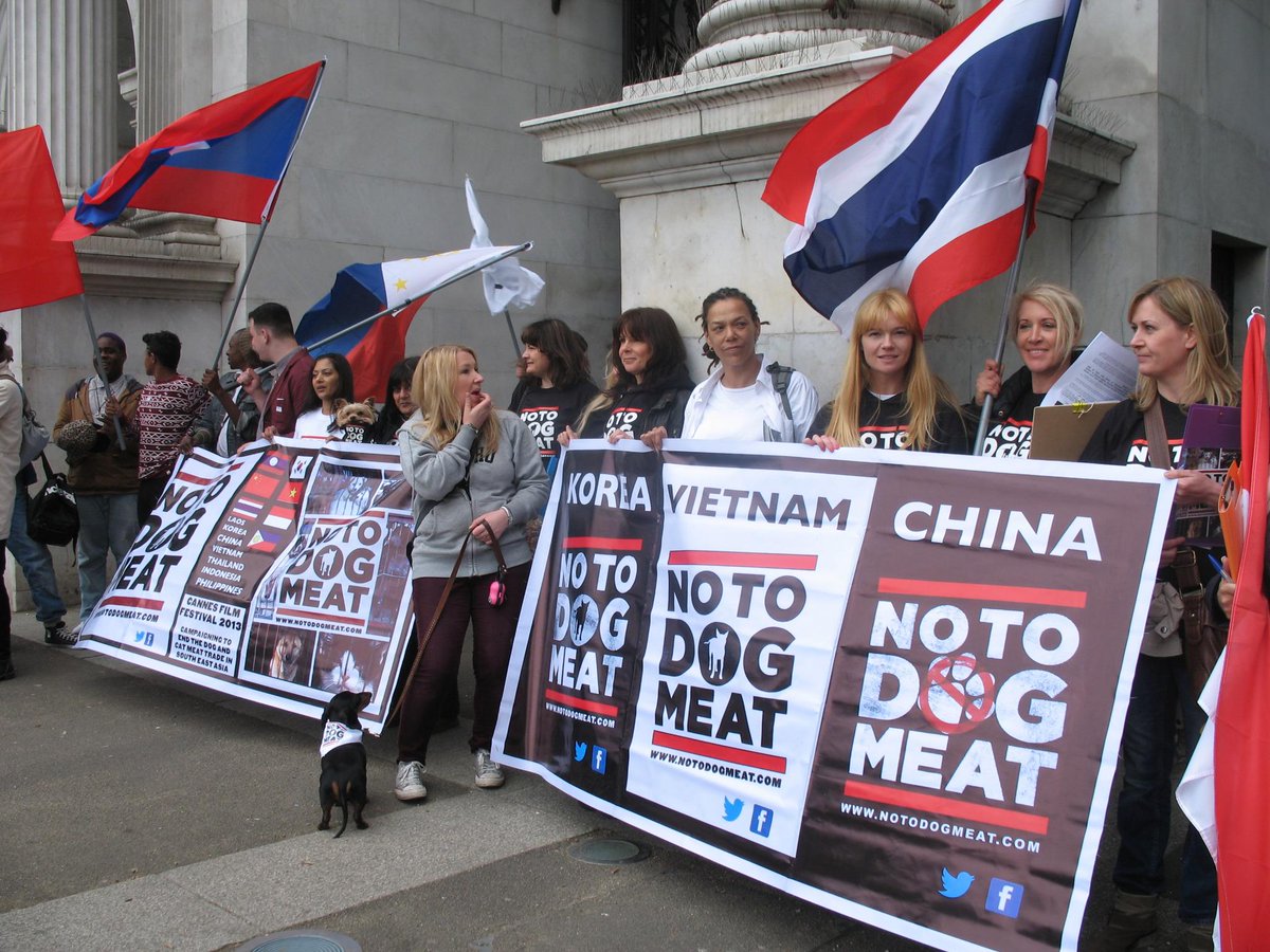 kindess4animals's tweet photo. @SkyValencia a warm to you welcome from @notodogmeat @JuliadeCadenet and me @LoriAlan1 @waspy200 #pushForth #Occupy http://t.co/32S9NpBl6M