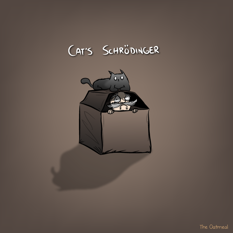 Oatmeal's tweet photo. Cat's Schrödinger http://t.co/J4y0p7WAtU