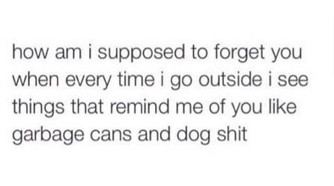 TweetLlkeAGuy's tweet image. 