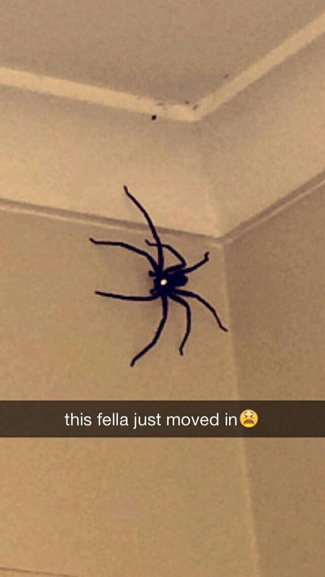 My friend in Australia sent me this safe to say im never going to visit him!