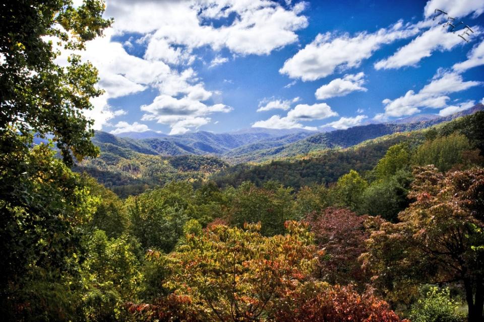 StatePics's tweet image. Appalachian Mountains