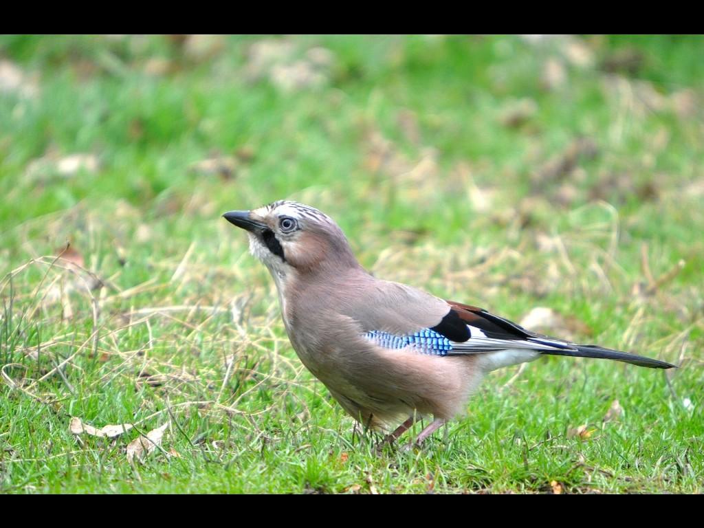 john adshead (john_adshead) Twitter