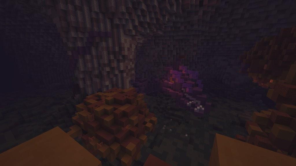 mianite tweet picture