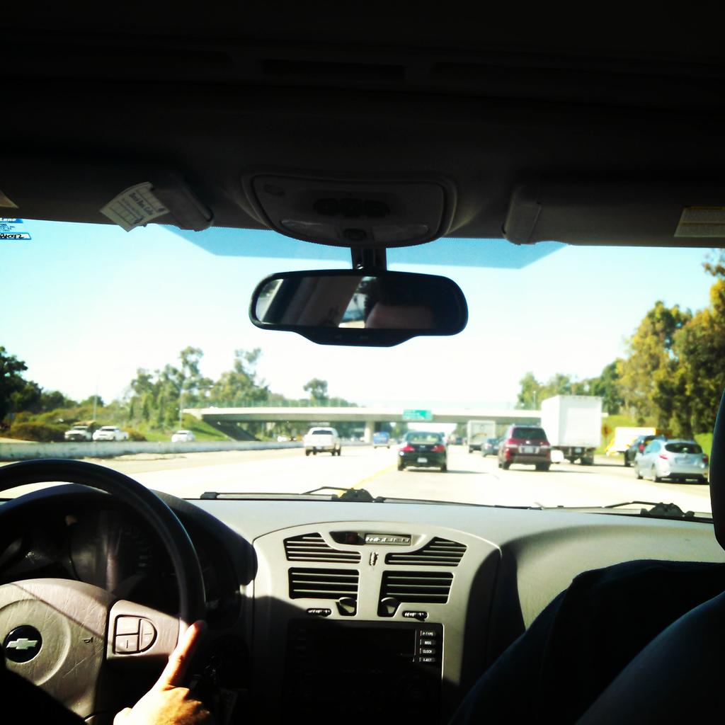 ourNativeSound's tweet image. Santa Monica bound! Heard through the grapevine of Beemo, the genius toy poodle, excited to see this dog in person!