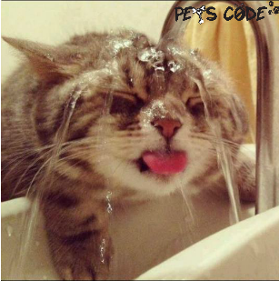petscode's tweet photo. funny cat for cat lovers :) http://t.co/UsJTZeB22V