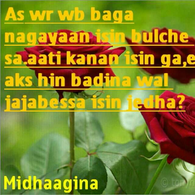 hayathiabu's tweet photo. http://t.co/t0kWOhWqTp