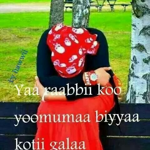 hayathiabu's tweet photo. http://t.co/T4QXZ3gzDf