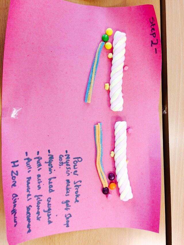 BsfPe's tweet photo. Year 13's Sliding filament theory pt 1-3 from Sam James and Kirsty http://t.co/UkIA0s99HB