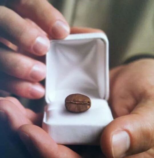 gutiscafeteria's tweet photo. Nuestra joya!!!!!!!! http://t.co/HFwSu8IUKF