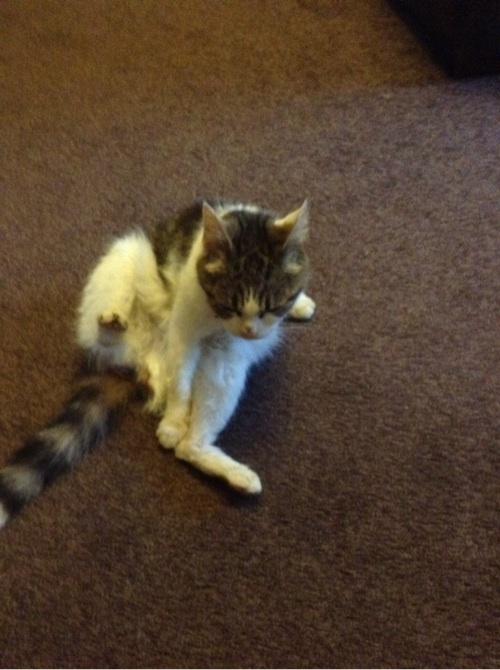 5selby's tweet image. Trixcey