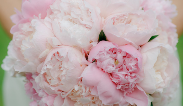 Style Me Pretty tweet media