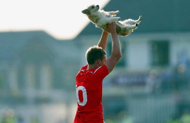 Cant believe Louth's <a href="/Ciaran_Byrne94/">Ciaran Byrne</a> didnt make the top GAA dog invasions on <a href="/SecondCaptains/">Second Captains</a>!