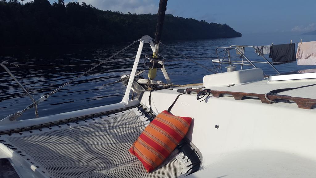 Skimpy Sailing tweet media