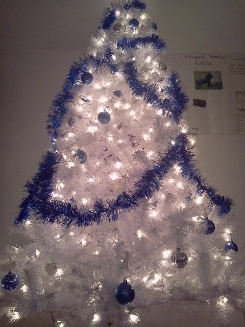 ALbertoIntro149's tweet image. merry christmas :-P 

too early