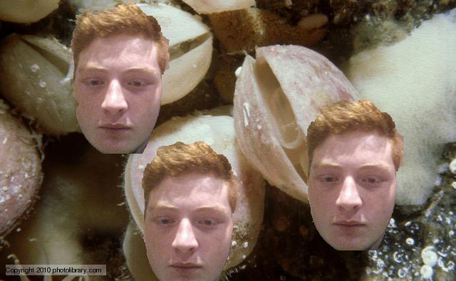 LowHangingBrach's tweet photo. @Cnidaria121 When the squad rolls into the club #reefpart #crewonpoint #sac me and my brachs http://t.co/9iGDCZRFJX