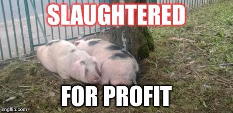 <a href="/food_sisters/">Soul Food Sisters</a> Excellent work, would you support our protest on Sunday at 2pm at Queens Park Recs please.