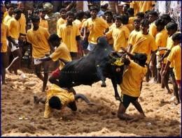 kmkvinth's tweet image. Good morning friends