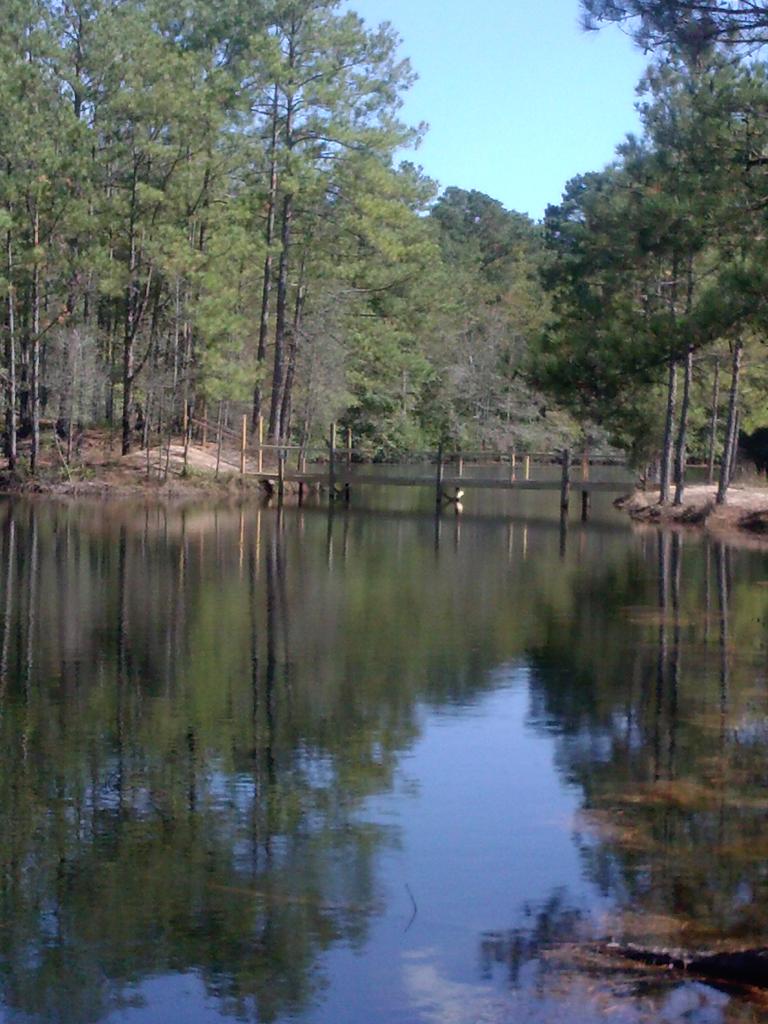 @sugarbear6 tweet media