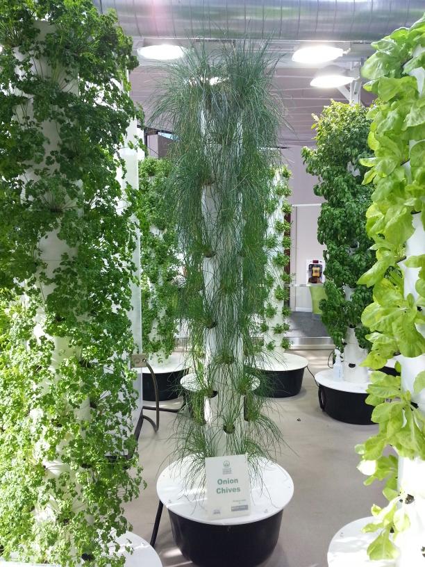 wnchem's tweet photo. Saw these vertical hydroponic gardens at O Hare. These will look great in North's gallery area? #NeverStopExpanding http://t.co/rXrrz1lSRo