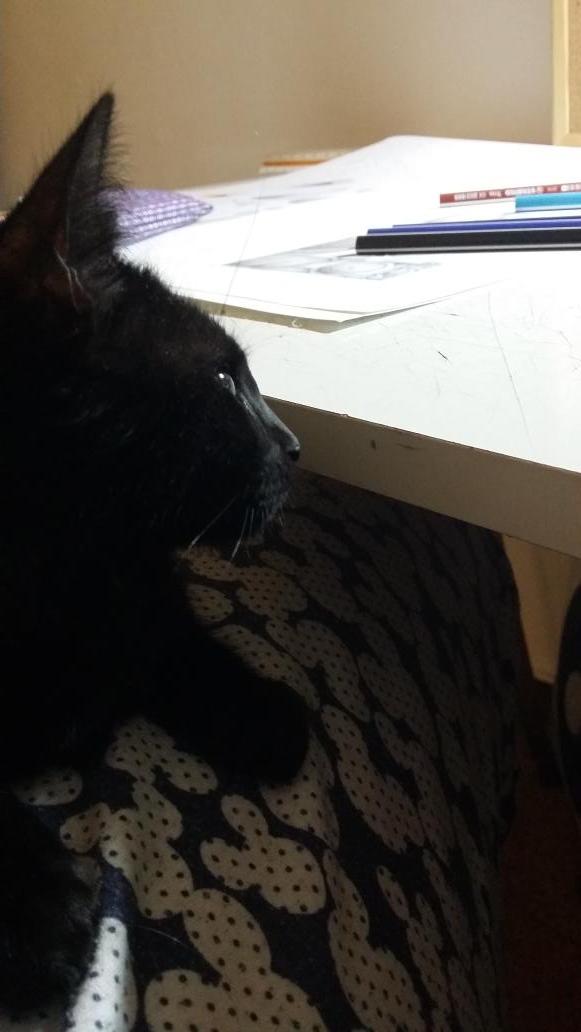 yonescris's tweet photo. Asi las noches se pasan más amenas =) http://t.co/ukWbcvKScK