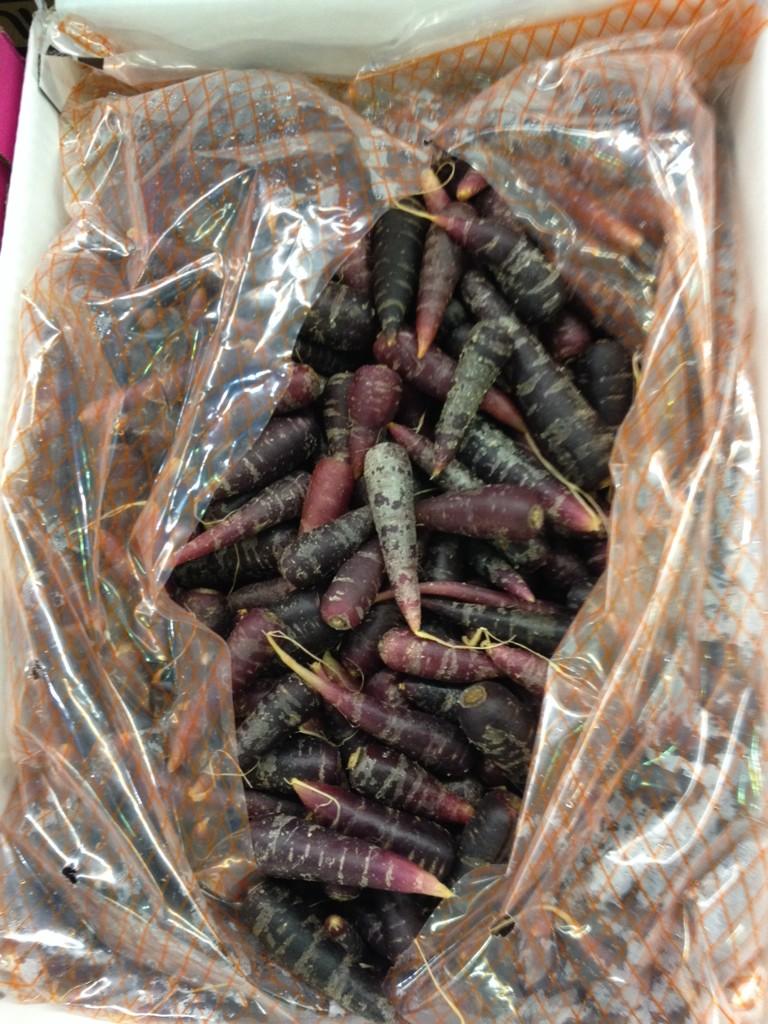Purple chantenay carrot now available to complement the white and good old original. All the colours in all the sizes