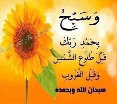 anshmy1's tweet photo. سبحان الله وبحمده سبحان الله العظيم
هنيئاً من أصبح في ذمة الله حتى يمسي 
ولاتنسوا#عبدالله_المري رحمه الله من دعواتكم http://t.co/kwmTIHaczw”