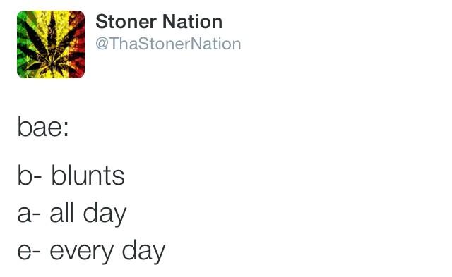 ChicksWhoBlaze's tweet photo. OMG, You must follow @ThaStonerNation !! 

Best weed account on twitter! 🔥💨 

funny tweets &amp; positive vibes 💨 http://t.co/eVXu7SKudO