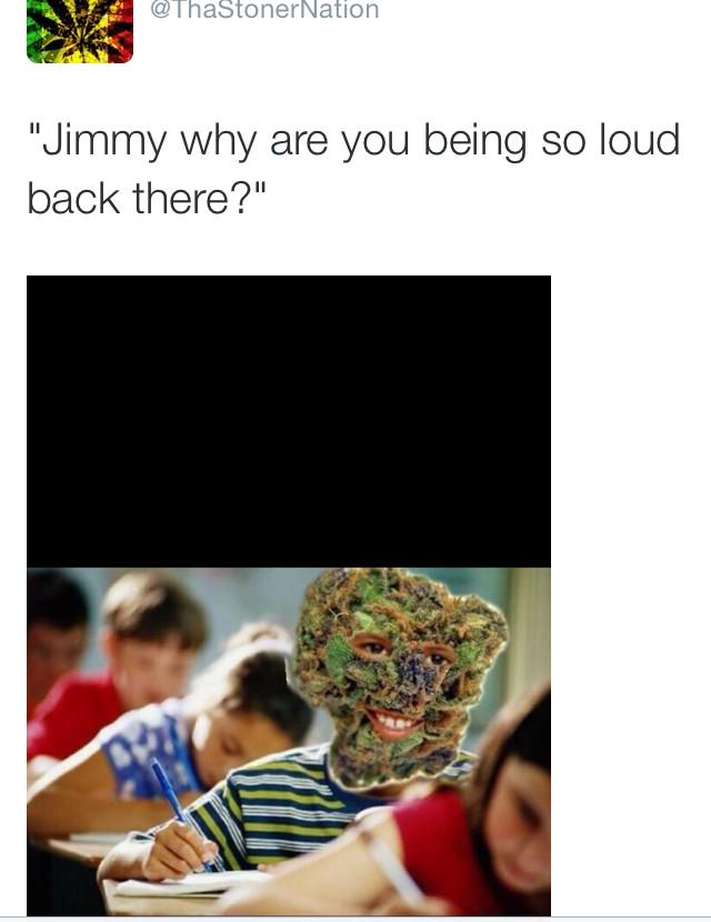 ChicksWhoBlaze's tweet photo. OMG, You must follow @ThaStonerNation !! 

Best weed account on twitter! 🔥💨 

funny tweets &amp; positive vibes 💨 http://t.co/eVXu7SKudO