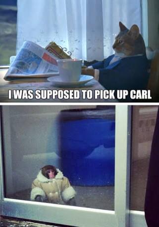 Harrysballz69's tweet photo. I was supposed to pick up Carl #quote #quotes #QuoteOfTheDay #quotesoftheday #truth #swag #free #freeiphone http://t.co/NbT5jW3H8x
